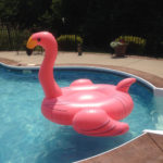 Gracie Mae's birthday float